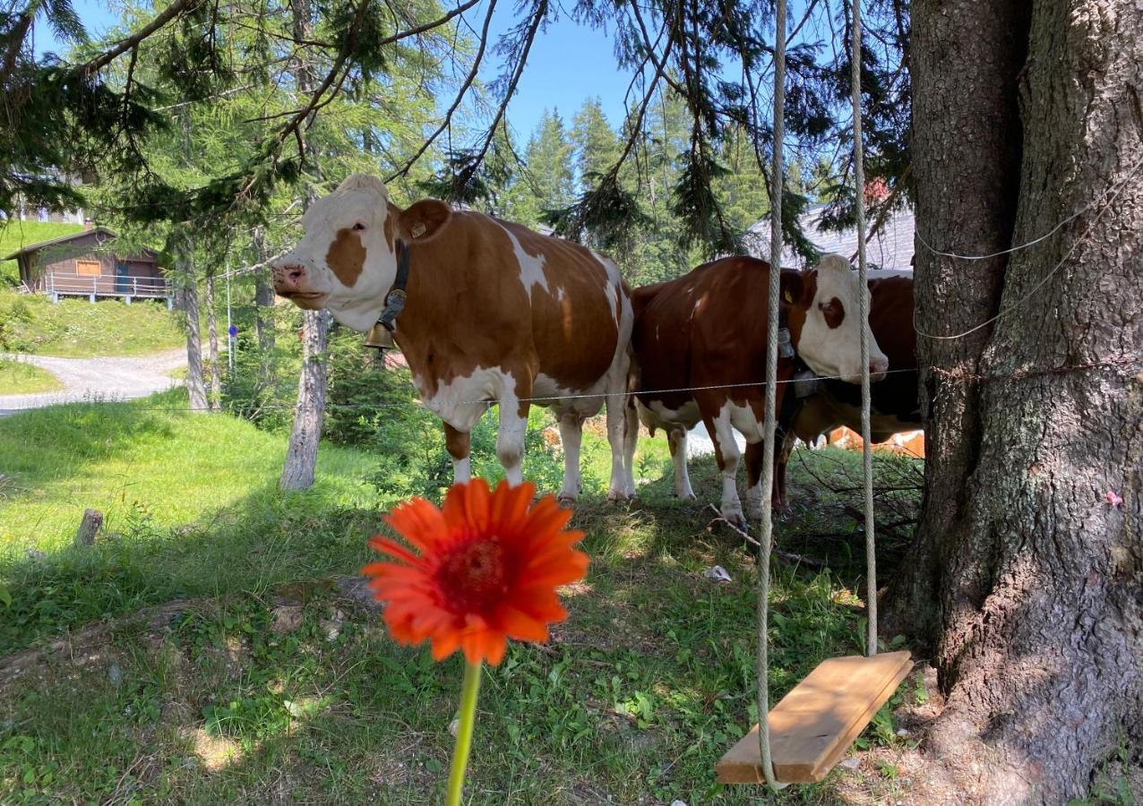 Gemuetliche Huette In Den Bergen Villa Sonnenalpe Nassfeld Eksteriør billede
