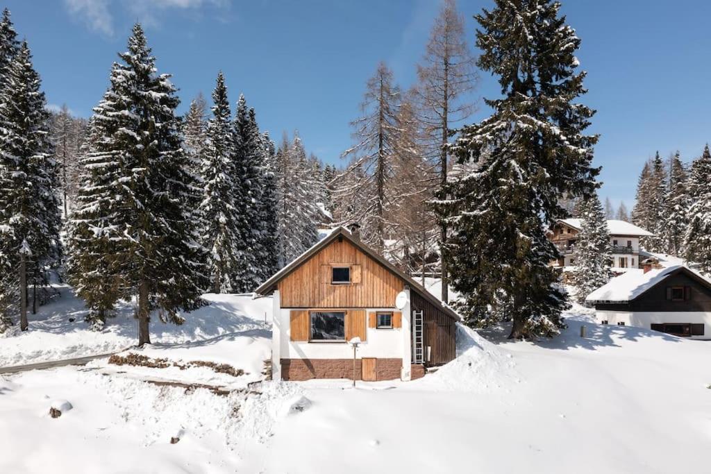 Gemuetliche Huette In Den Bergen Villa Sonnenalpe Nassfeld Eksteriør billede
